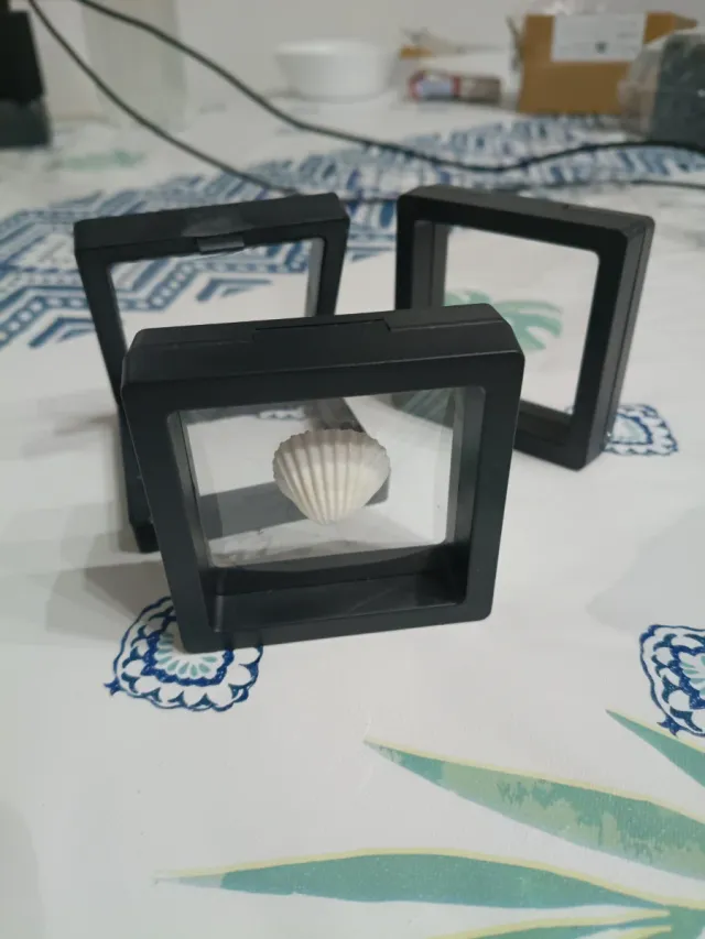 3/5 Marcos Elásticos Expositores