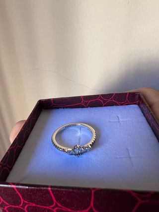 Anillo Princesa Plata