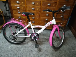Bicicleta infantil niña 20 rosa