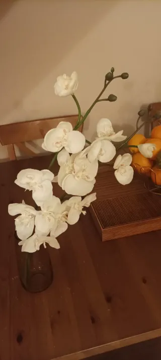Orquídeas blanca artificial