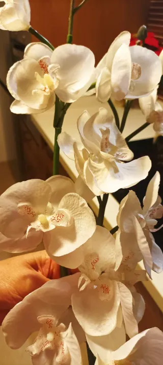 Orquídeas blanca artificial