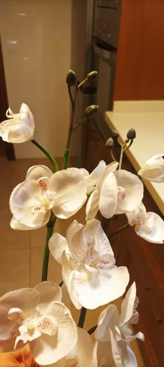 Orquídeas blanca artificial