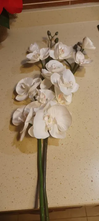 Orquídeas blanca artificial