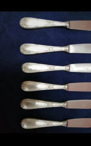 Set 6 coltelli vintage Alpaca