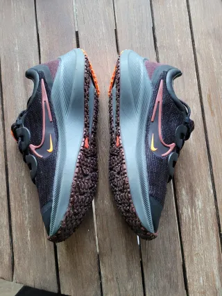 Zapatillas Nike Winflo 8 Shield