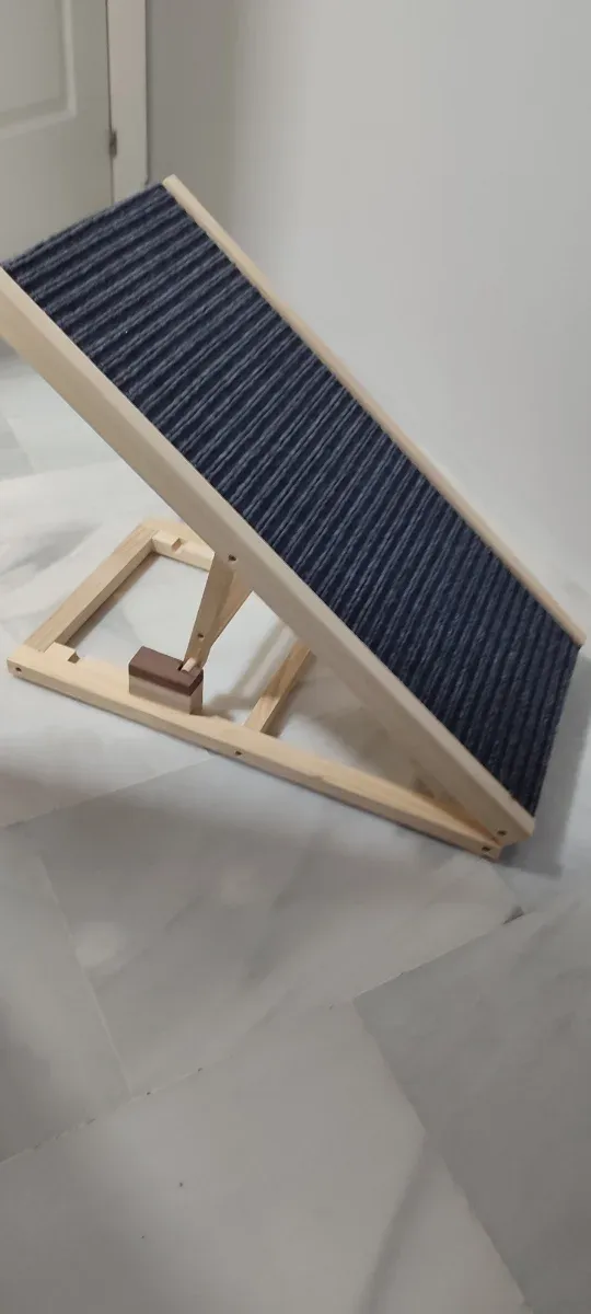 Rampa para perros sin usar