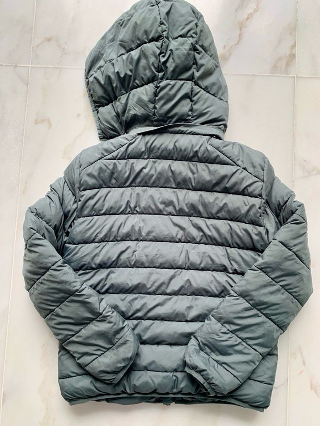 Cazadora Scalpers verde niño Talla 12