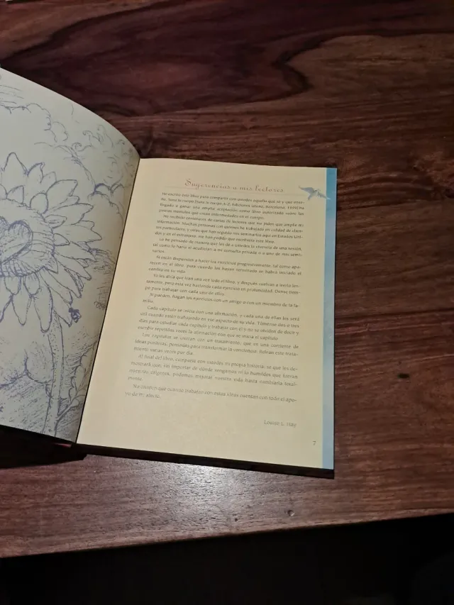 Usted puede sanar su vida (Crecimiento personal...