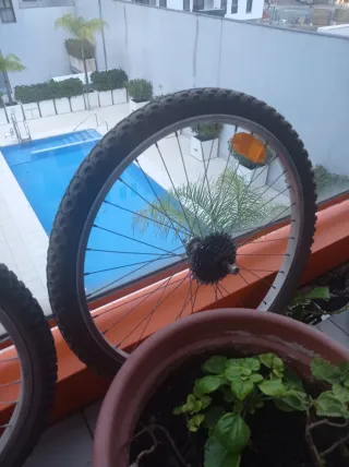 Ruedas MTB 24