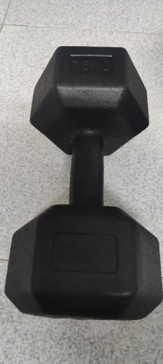 Mancuernas 7.5 kg (par)