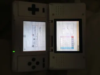 Nintendo DS Plata/Blanco Cargador y R4 de regalo