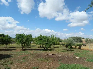 Parcela Urbanizable en Venta