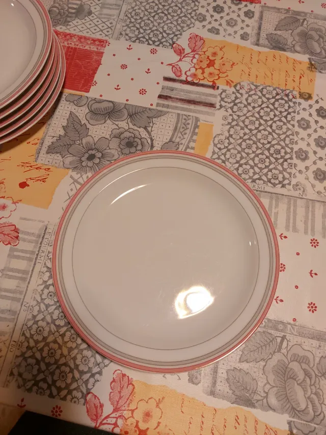 Lote 6 Platos Llanos Porcelana