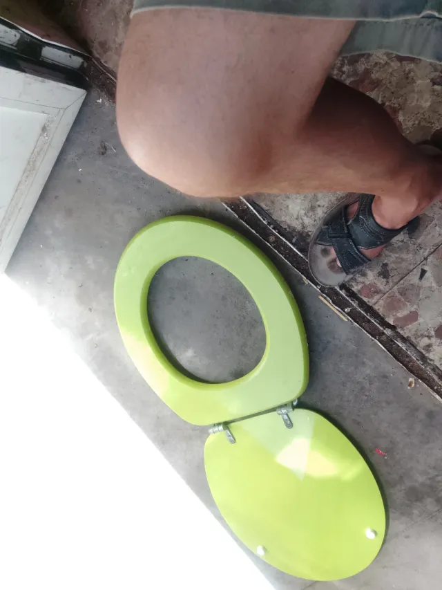 ARTÍCULO RECOMENDADO PARA USO DE CARNAVAL