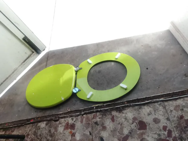 ARTÍCULO RECOMENDADO PARA USO DE CARNAVAL