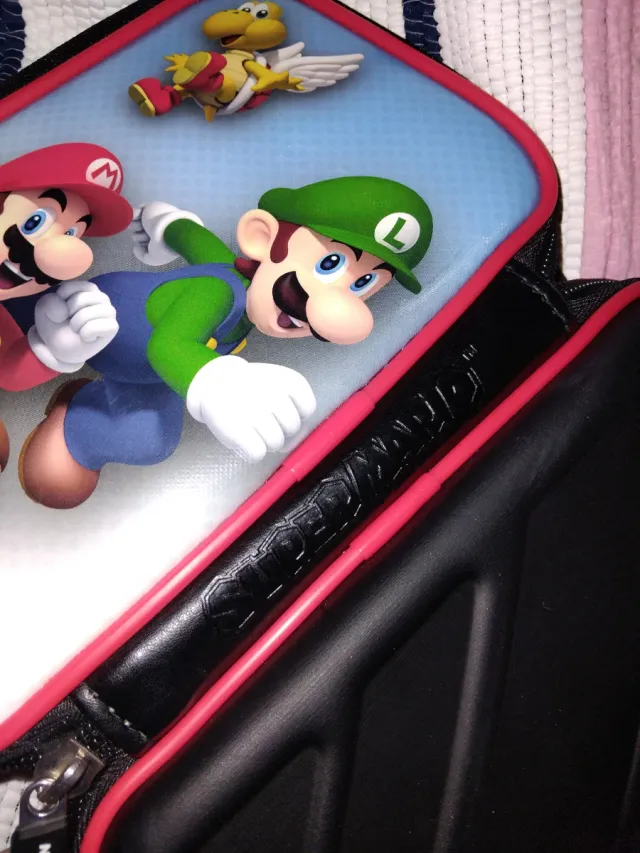 Custodia Nintendo 3DS Mario e Luigi