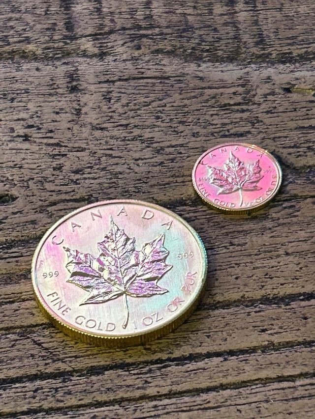 Maple de Oro 1oz + 1/10oz