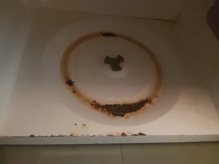 Microondas Orbegozo Blanco