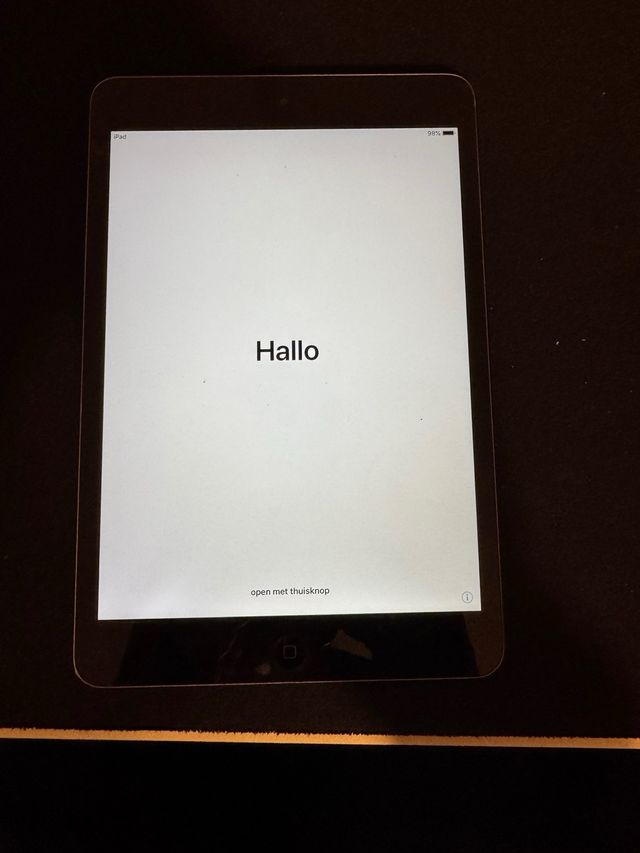 iPad mini 2 cinza
