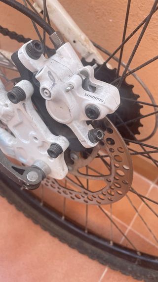 Bicicleta Megamo Mujer