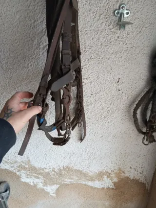 Cabezada vaquera piel ternera alta calidad