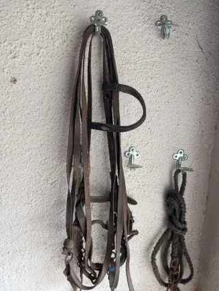 Cabezada vaquera piel ternera alta calidad