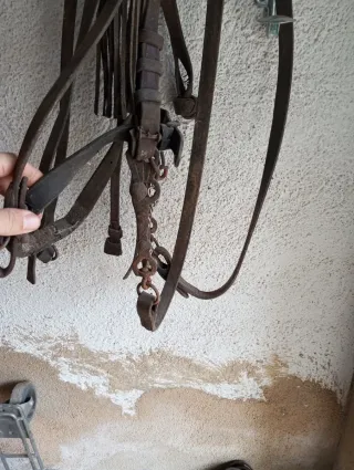 Cabezada vaquera piel ternera alta calidad