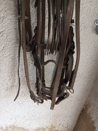 Cabezada vaquera piel ternera alta calidad