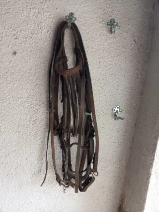 Cabezada vaquera piel ternera alta calidad