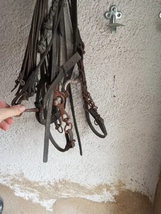 Cabezada vaquera piel ternera alta calidad