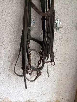 Cabezada vaquera piel ternera alta calidad