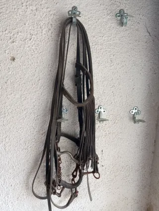 Cabezada vaquera piel ternera alta calidad