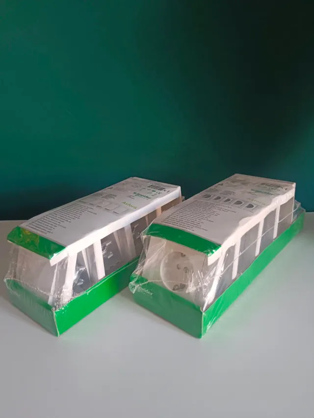 Enchufe e interruptor Schneider Electric