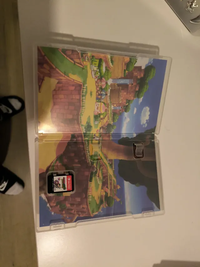 Mario & Luigi: Conexão Fraternal Switch