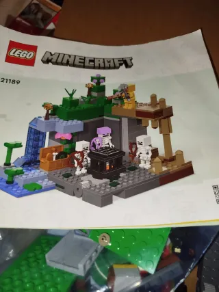 Lego Minecraft Set