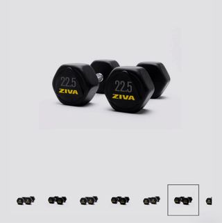 Mancuernas Ziva 22.5 kg (par)