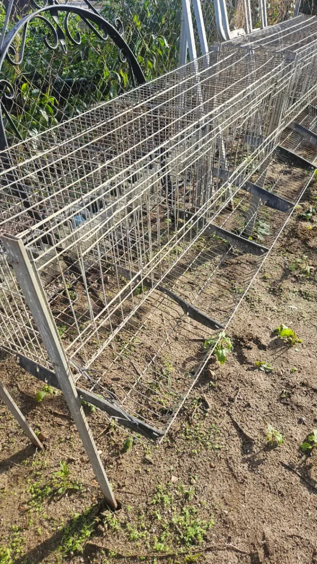 Jaula para gallinas metálica