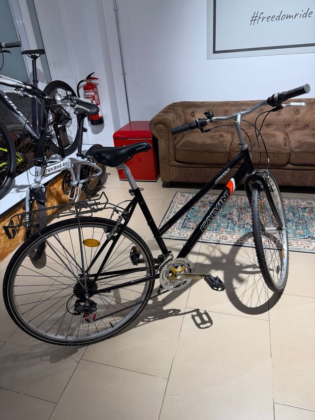 Bicicleta revisada, perfecto estado