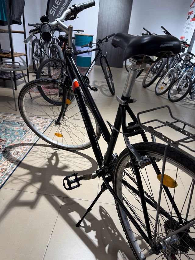 Bicicleta revisada, perfecto estado