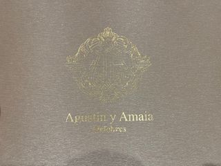 Juego de peinetas plateadas para niña