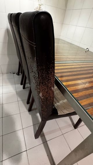 URGE VENTA- MUDANZA Mesa de teca+ 5 sillas de piel