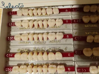 Tablillas Prótesis Dental Selecto