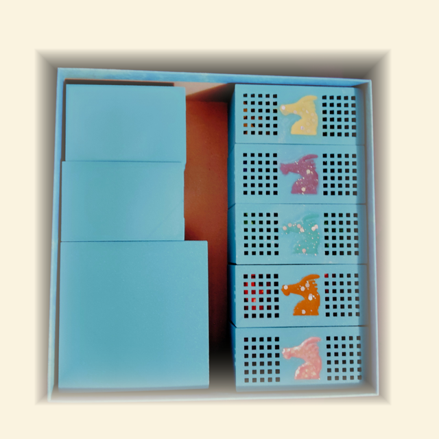 Inserto Dragones del Mar