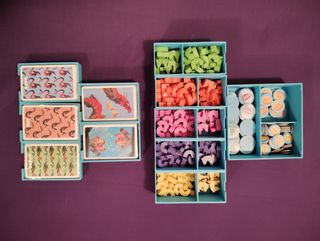 Inserto Dragones del Mar