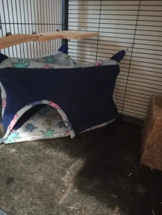 Casetta in pile per roditori