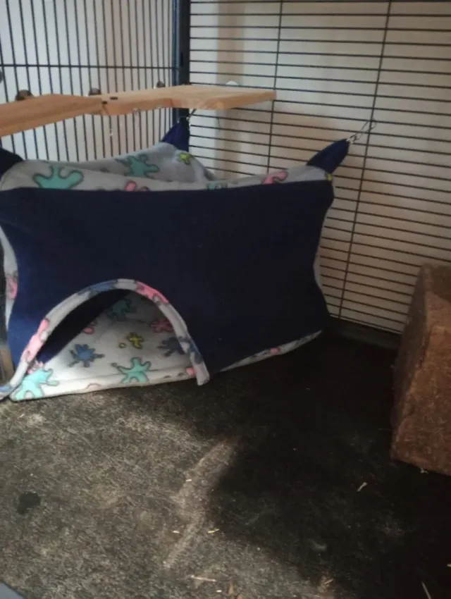 Casetta in pile per roditori