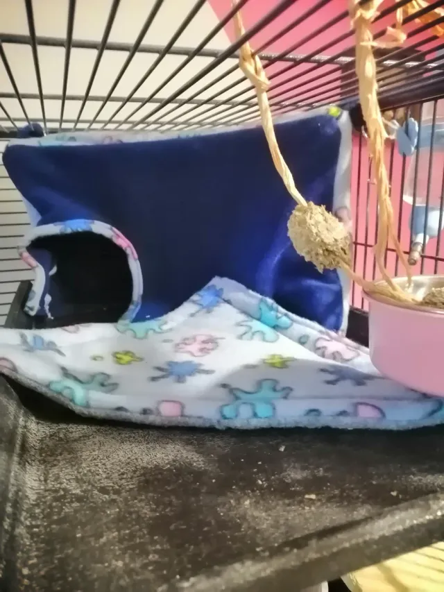 Casetta in pile per roditori