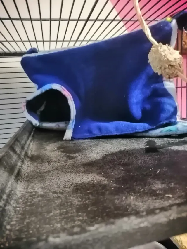 Casetta in pile per roditori