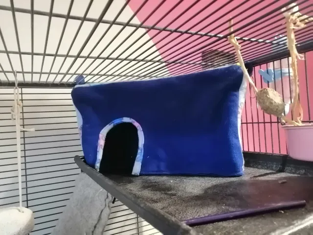 Casetta in pile per roditori