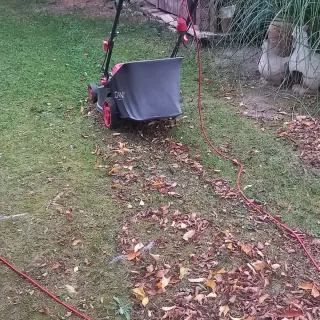 Hago todo tipo limpieza de jardinería